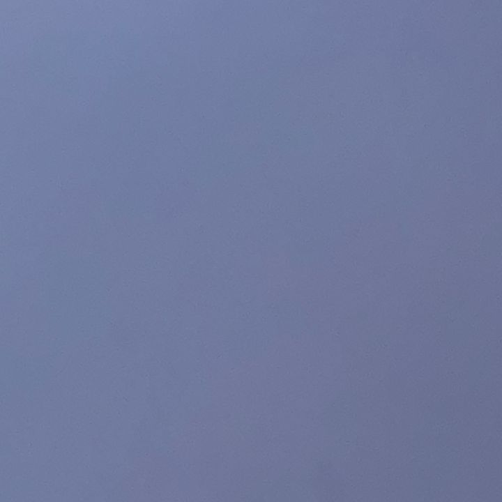 Profile Picture of finn.grant (@finn.grant) on Tiktok