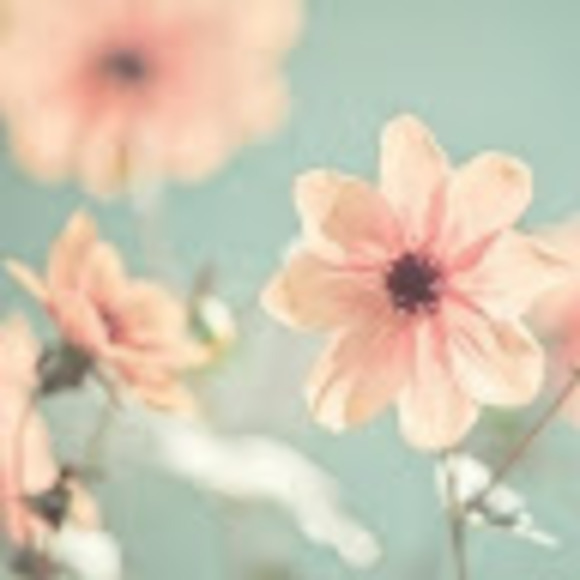 Profile Picture of Emily Bosak (@e_bosak) on Poshmark