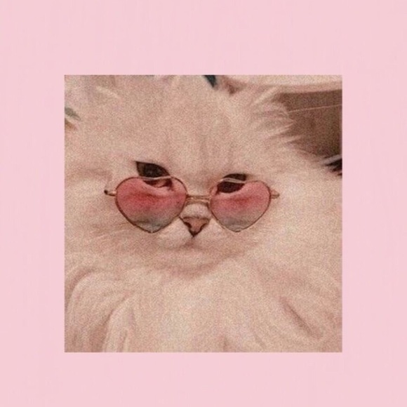 Profile Picture of Frances Kern (@homicideungh) on Poshmark