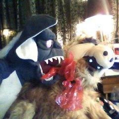 Profile Picture of Shawn Leah (@ShawnSwafford) on Twitter
