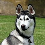 Profile Picture of Vallecillo Villarreyna Alfonso (@alfonsovallecillovillarreyna) on Instagram