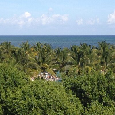 Profile Picture of Lisa Timmerman (@lisa_timmerman) on Twitter