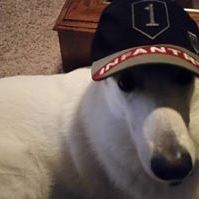 Profile Picture of John Kuzmicki (@hotrod31ok) on Pinterest