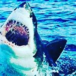 Profile Picture of Chuck Mathews (@bronze_spider) on Instagram