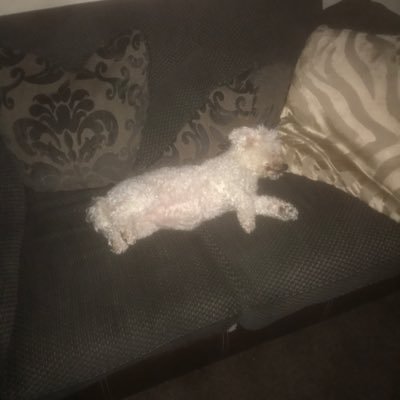 Profile Picture of Joe Mcmullan (@joe241966) on Twitter