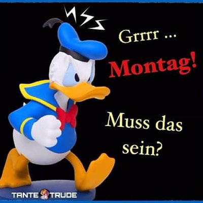 Profile Picture of Peter Wiesner (@PeterWiesner) on Twitter