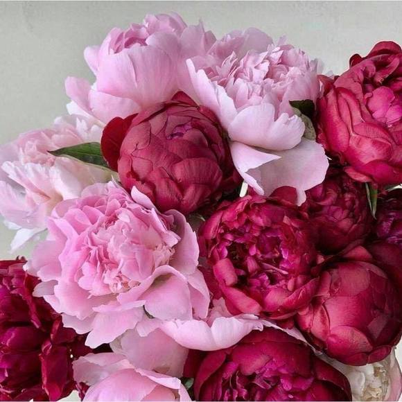 Profile Picture of Agnieszka Kawalek (@akawa7) on Poshmark