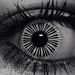 Profile Picture of Amanda Braun (@acb25) on Pinterest
