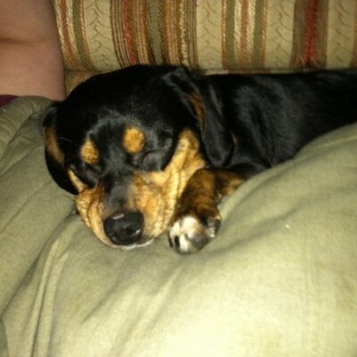 Profile Picture of Susan Roedel (@LadyLuckRoedel) on Twitter