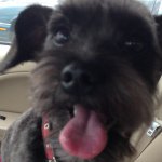 Profile Picture of richard (@mineoy127) on Instagram