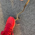 Profile Picture of Jeffery Vaughn (@jefferyvaughn2873) on Instagram