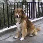 Profile Picture of ΜΙΧΑΛΗΣ ΑΓΓΕΛΙΔΗΣ (@mixalhs_aggelidhs) on Instagram