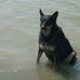 Profile Picture of Karen Codding (@Karen-Codding) on Facebook