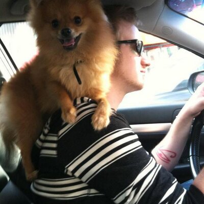Profile Picture of Pause (@Diamond___Jim) on Twitter