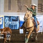 Peyton Bennett - Instagram Profile Picture of Peyton Bennett (@_pbennett_04_) on Instagram