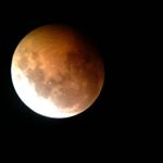 Profile Picture of Jay Sylvester Designs (@jaysylvesterdesigns) on Instagram