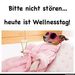 Profile Picture of Marko Steffi Zschieck Zöller (@marko_zschieck) on Pinterest