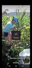 Profile Picture of   Ariel Martinez... (@arielmartinez058) on Tiktok
