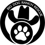 Profile Picture of Big Dog Ranch Rescue (@bigdogranchrescue) on Instagram