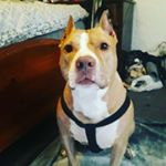 Profile Picture of Steven Lusk (@lusk6585) on Instagram