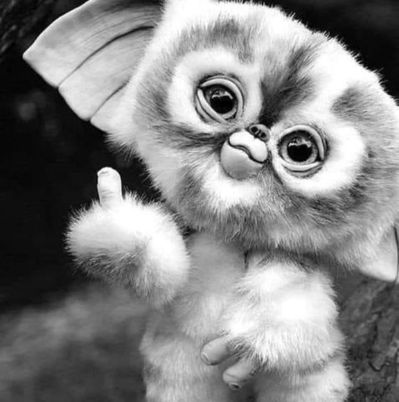 Brock Berry - Poshmark Profile Picture of Brock Berry (@brockberry86) on Poshmark