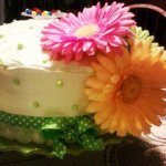 Profile Picture of Sue Pollack (@cougar_cakes) on Instagram