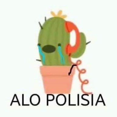 Profile Picture of Paloma Alvarez. (@palomaalvarez79) on Twitter