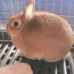 Profile Picture of tansuan93 (@tansuan93) on Instagram