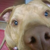 Profile Picture of Mitzi Jones Ncmg Cfmg (@mitzi-jones-ncmg-cfmg) on Quora