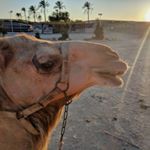 Profile Picture of Daniel Auerbach (@oydannyboi) on Instagram