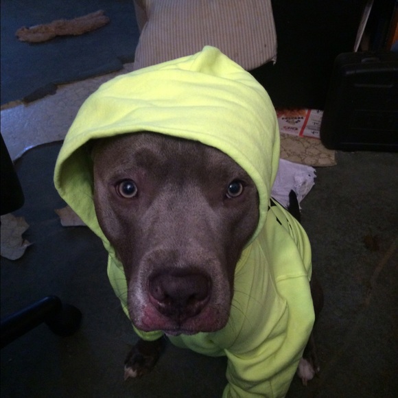 Profile Picture of Jaimie Ehrler (@firelily2009) on Poshmark