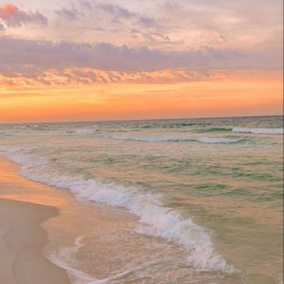 Profile Picture of Kadyn Bouzammour (@kadyb509) on Poshmark