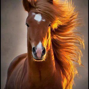 Victorkuo - Myspace Profile Picture of Victorkuo (@kuovictor) on Myspace