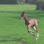 MareikeundMatthias Uhlig - Instagram Profile Picture of MareikeundMatthias Uhlig (@mareikeundmatthias) on Instagram