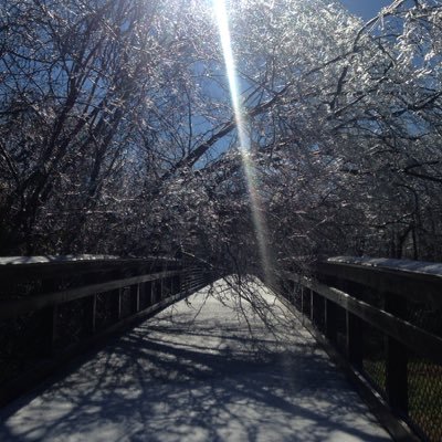 Profile Picture of Brian Pattison (@mrpattison4) on Twitter