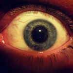 Profile Picture of Jesse (@equally_diverse) on Instagram