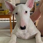 Profile Picture of David Pryce (@david.pryce.56027) on Instagram