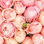 Profile Picture of Gisela Paz Indumentaria (@giselapazind) on Instagram