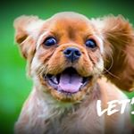 Profile Picture of ebrahim (@jamesanand333) on Instagram