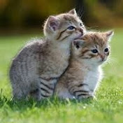 Profile Picture of Alex Reynolds (@alexreynolds6960) on Youtube