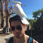 Profile Picture of Tommy Wakefield (@thomas.wakefield1) on Instagram