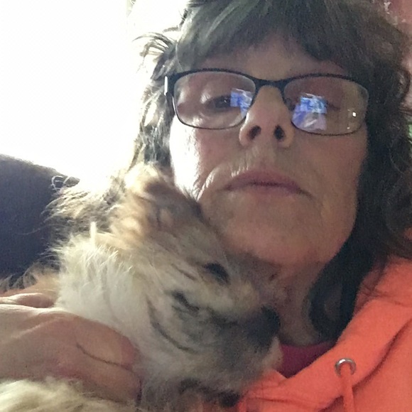 Profile Picture of Kim Lang (@kimkang50) on Poshmark