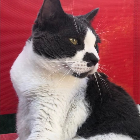 Profile Picture of Jenna Levy (@jlevy3) on Poshmark