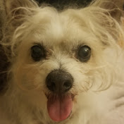 Joan Wong - Youtube Profile Picture of Joan Wong (@Joanwongactress) on Youtube