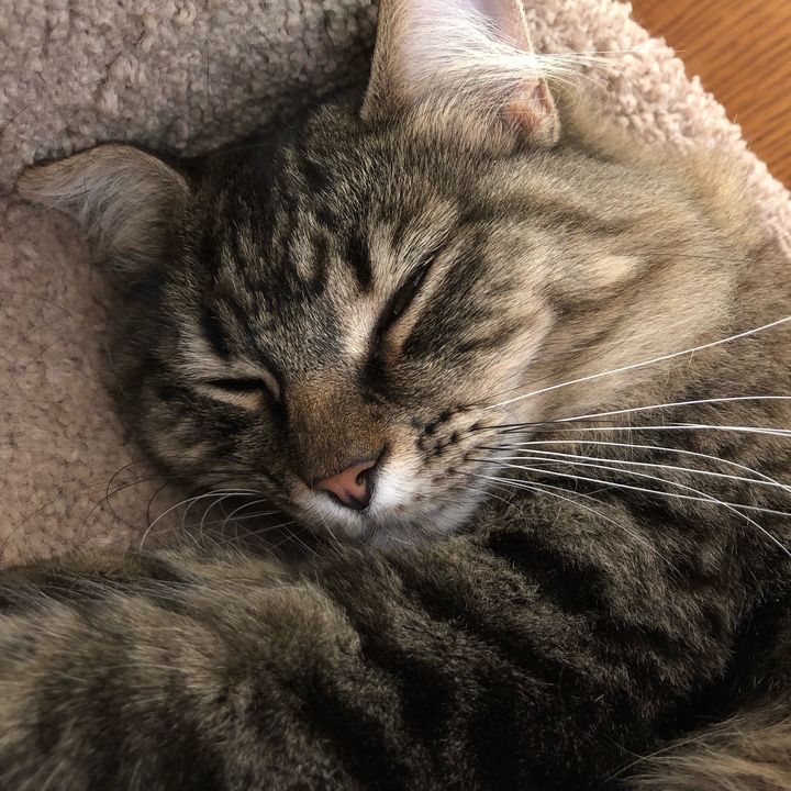 Profile Picture of Ken Barton (@seakb05) on Tiktok