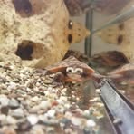 Profile Picture of George Orlov (@George-Orlov) on Facebook