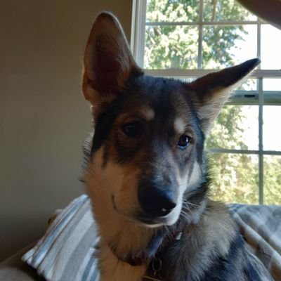 Profile Picture of Tyler Gilbert (@TGil36) on Twitter
