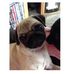 Profile Picture of Alison Flaherty (@alison.flaherty.92) on Facebook