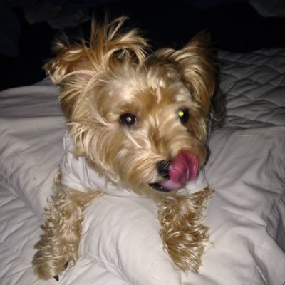 Profile Picture of Denise Marie Fournier (@DeniseFournie17) on Twitter