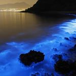 Profile Picture of Benjamin Olsen (@beautiful_bioluminescence_101) on Instagram